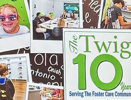 Diles Consulting Proudly Sponsors A Taste for The Twig