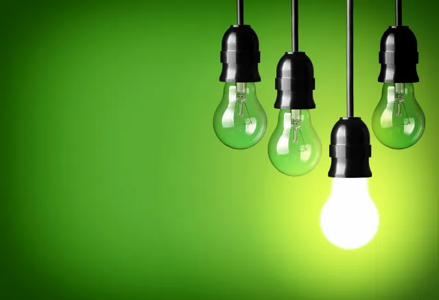 Hanging light bulbs on green